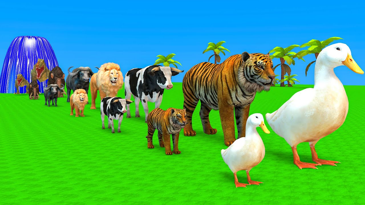 Long Slide Game With Elephant Gorilla Buffalo Hippopotamus Tiger 3d Animal Game Funny 3d Animals