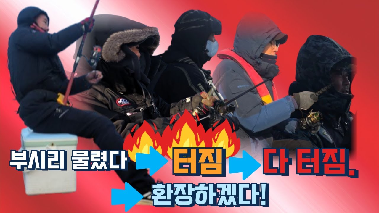 부시리 물렸다.. 터짐.. 또 물렸다... 다 터짐. 환장하겠다!