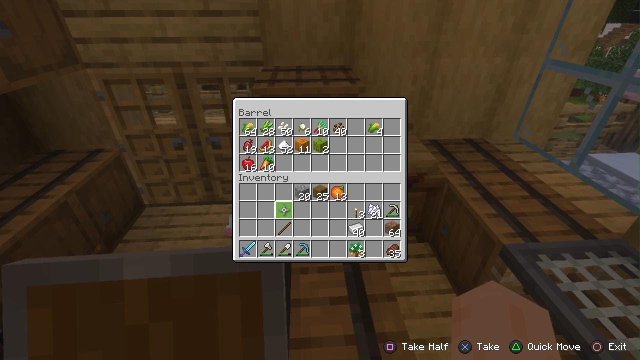 Minecraft_20260116163655