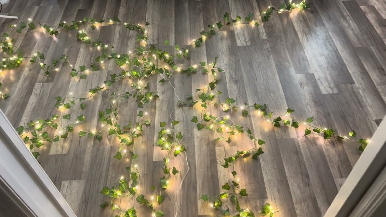 Review and Demo of Vine lights