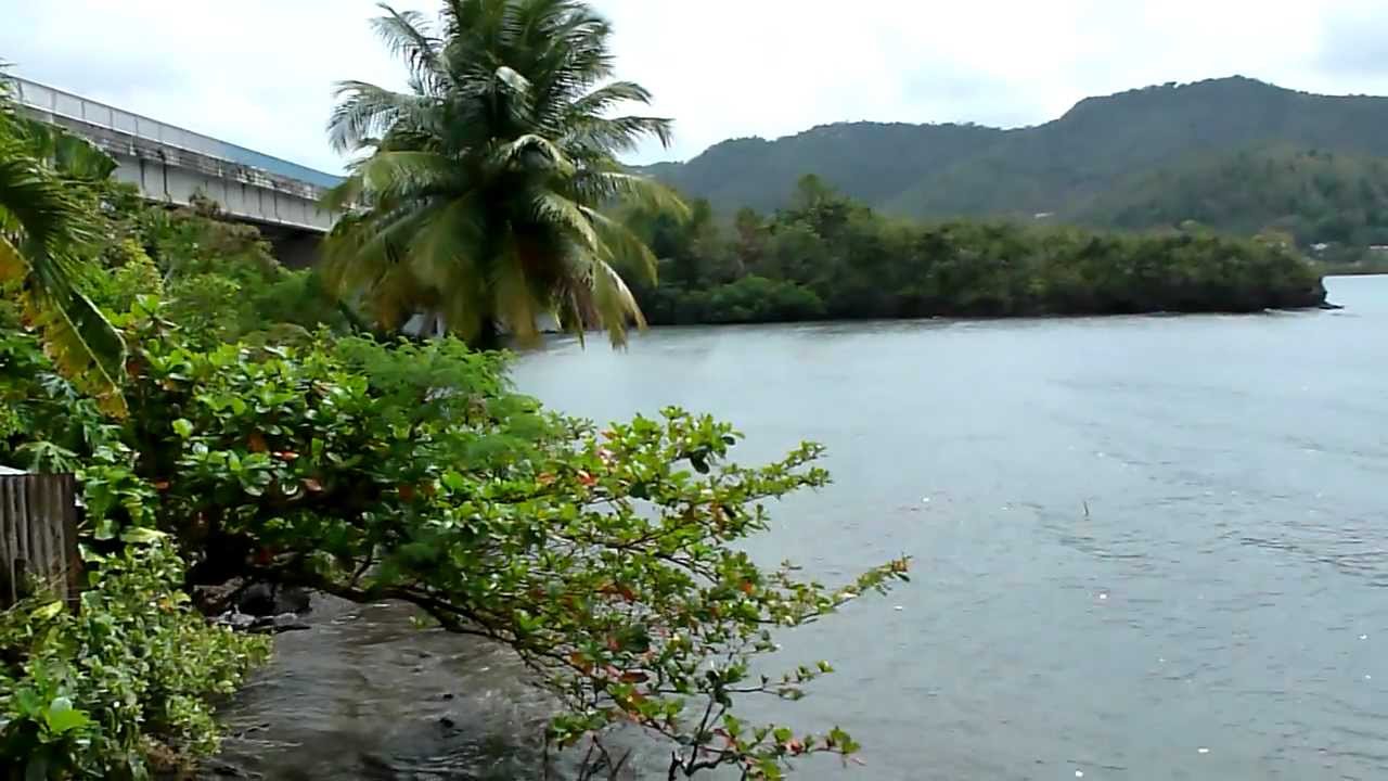 Notre logement à la Martinique ... c'était tip top !