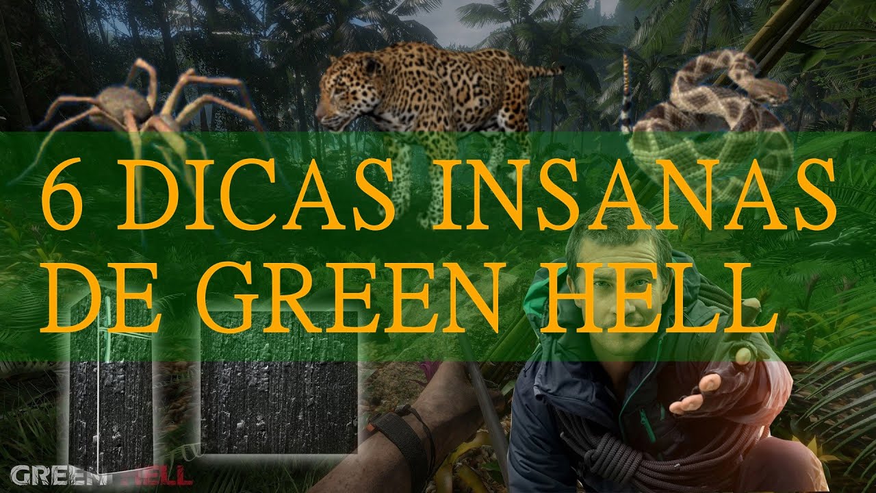 6 DICAS INSANAS DE GREEN HELL!!!