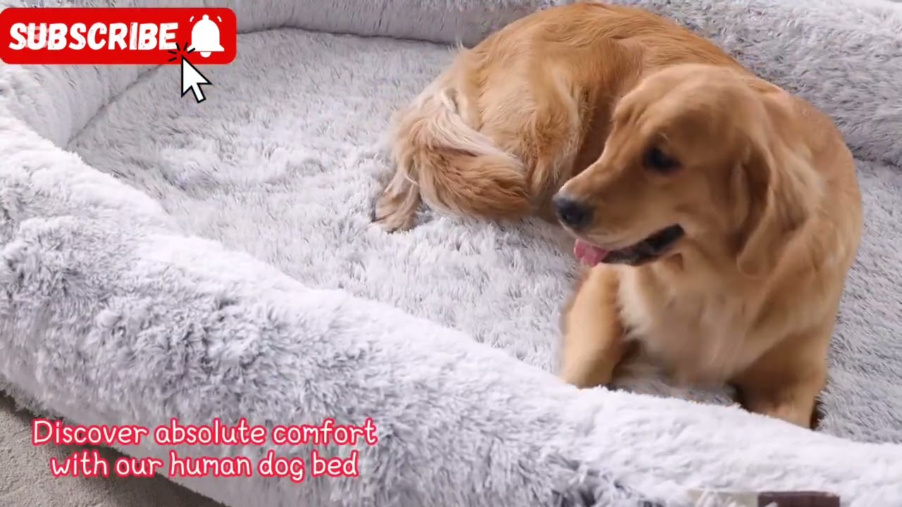 ( Human Dog Bed - 71"x45"x12" Fits You & Pets, Washable Faux Fur, Orthopedic,Link in Des👇🏼