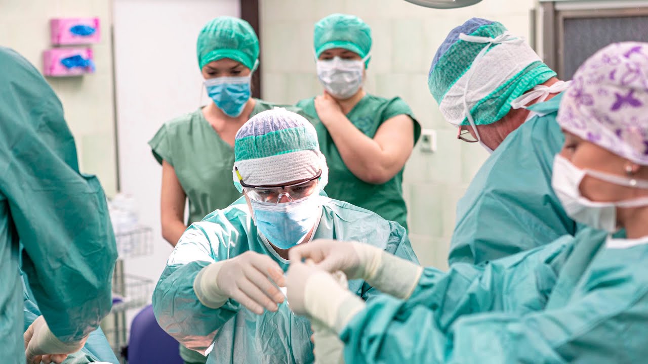 Jak se u nás studuje | 2. lékařská fakulta