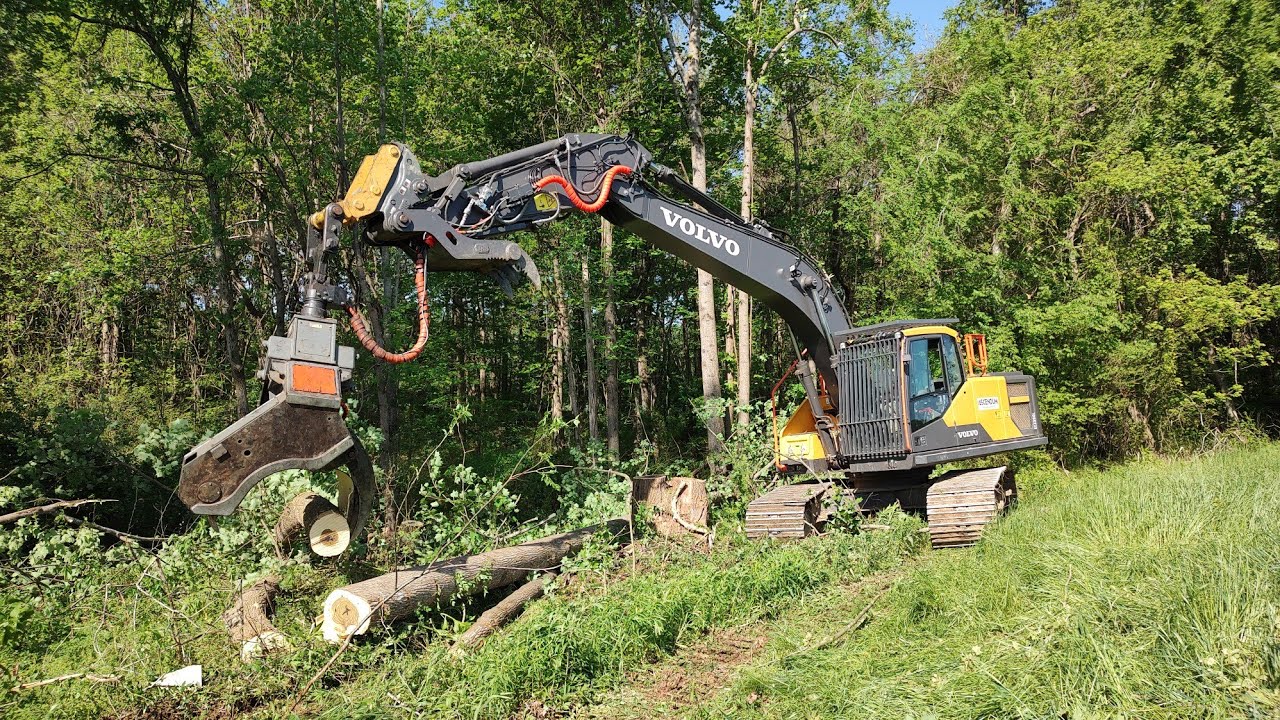 Time To Start Logging The Pond Site