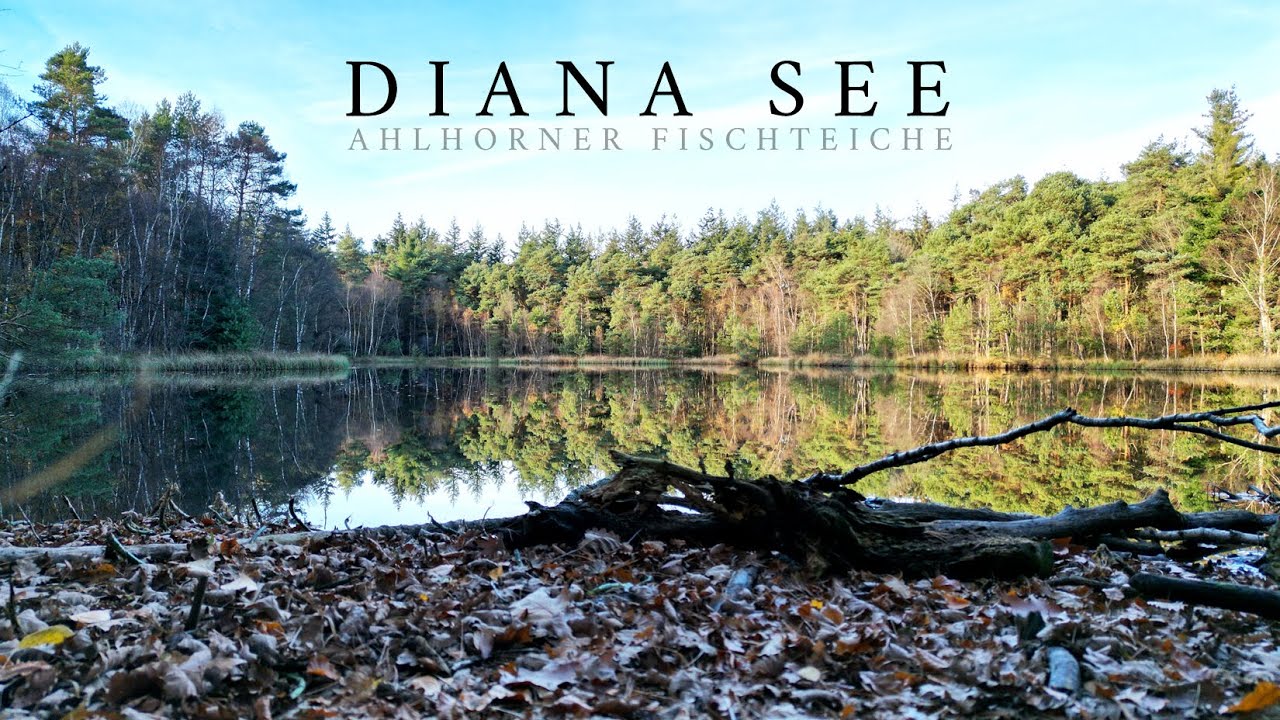 Diana See - Ahlhorner Fischteiche