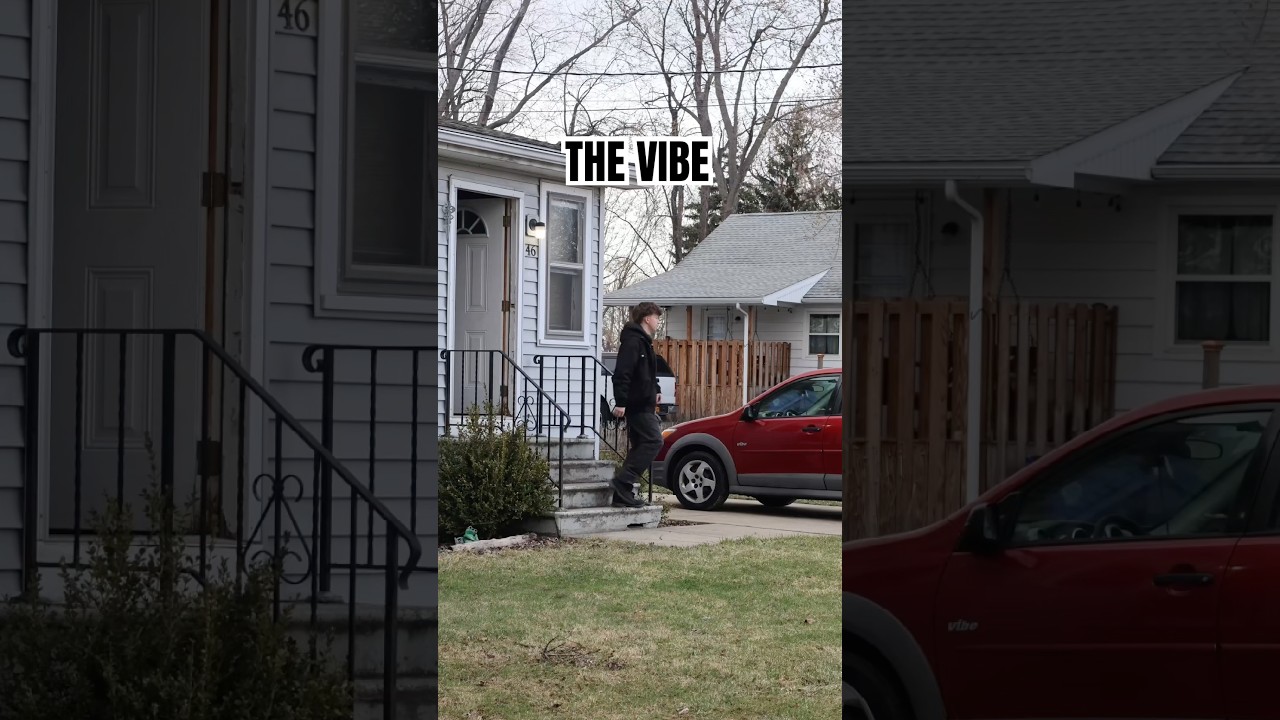 THE VIBE&hellip; #content