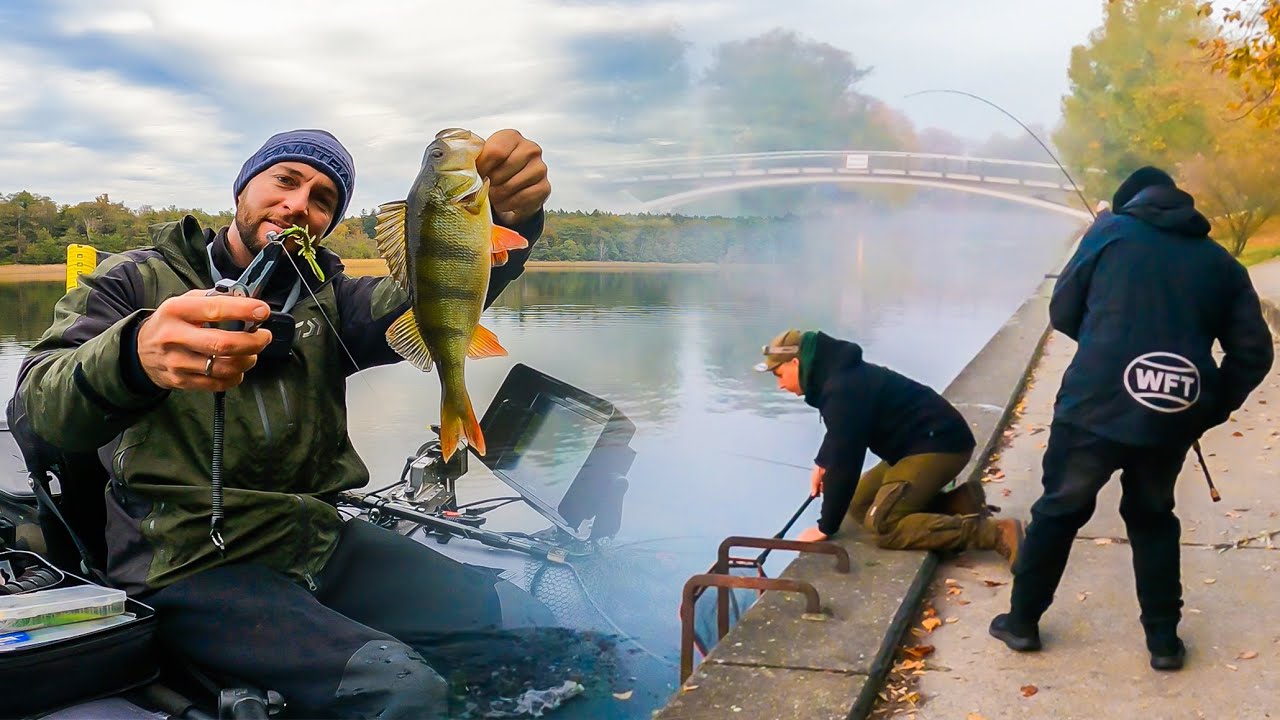 Wo stecken die richtig dicken Barsche? 🧐 Natursee vs Kanal ⚠️