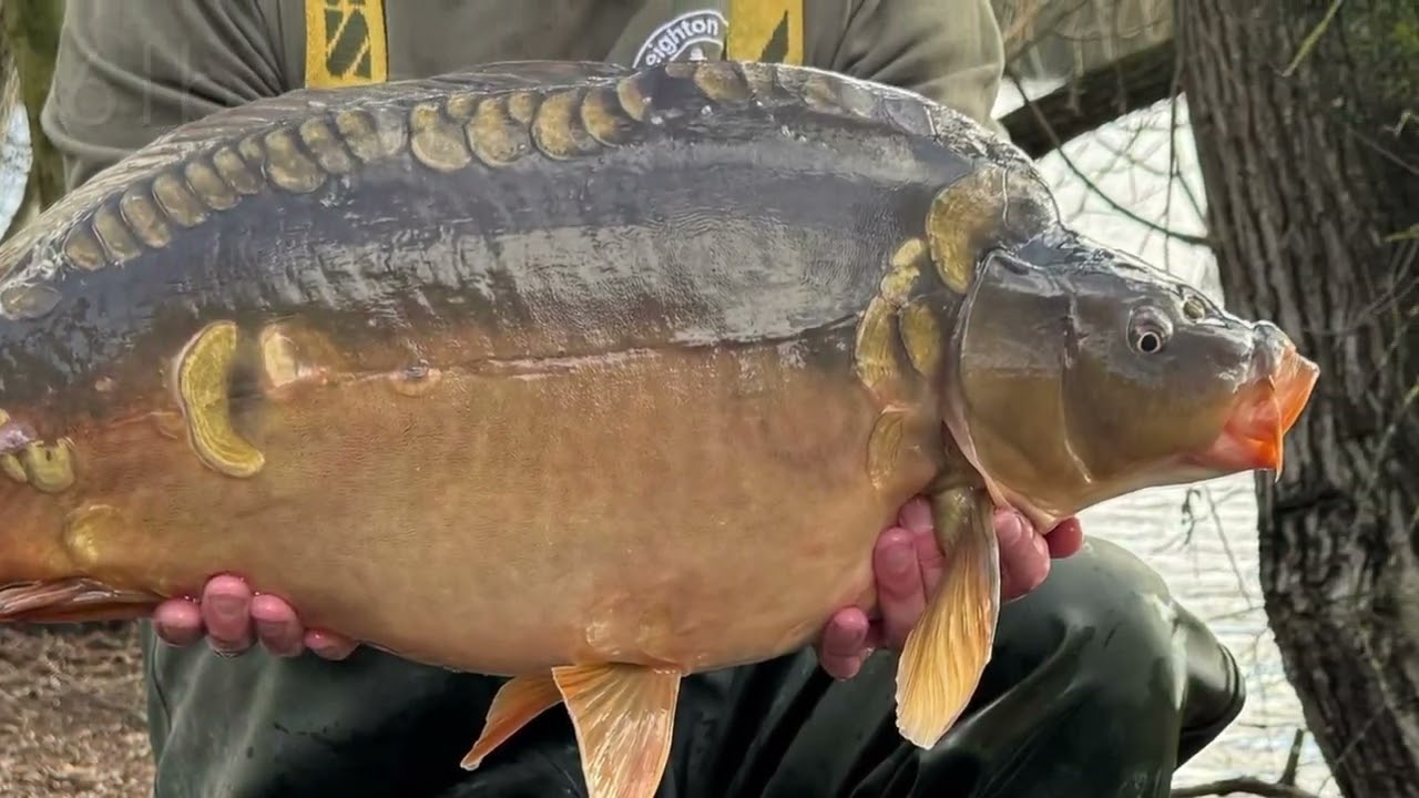 Tiddenfoot Lake stocking - February 2026