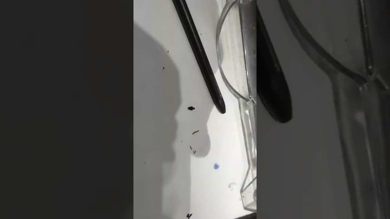 how to fix broken nib of Xiaomi stylus pen gen 1 or 2 (Xiaomi pad 5 or 6)
