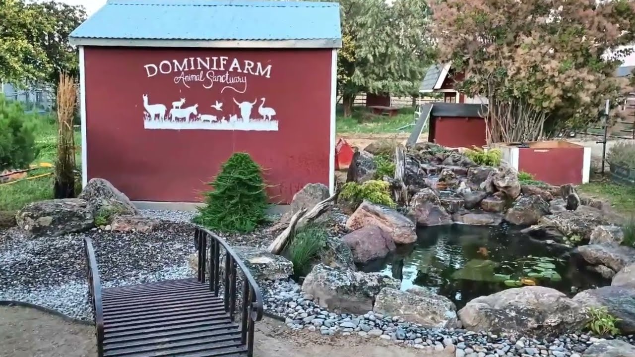 2026 - Mystic Waters Idaho. Ada Counties Premier Pond Builder. Meridian, Boise & surrounding areas