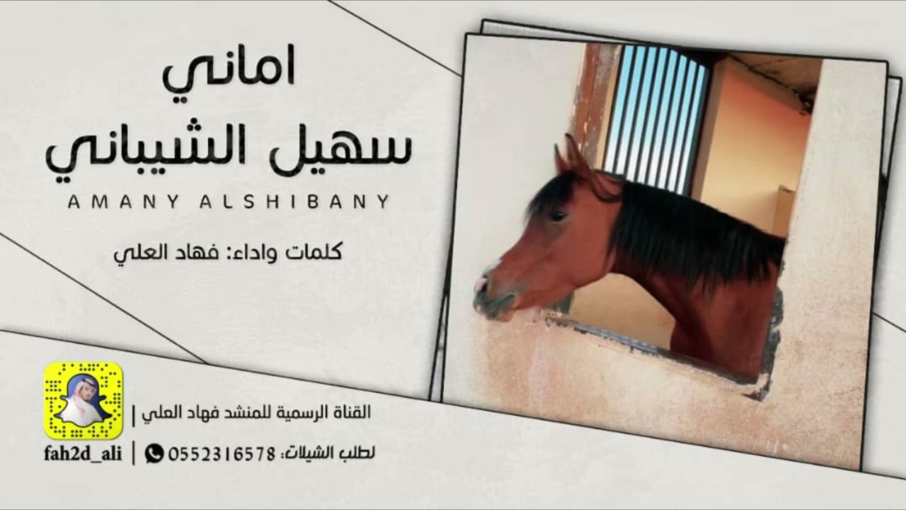 شيلة اماني سهيل الشيباني كلمات واداء فهاد العلي