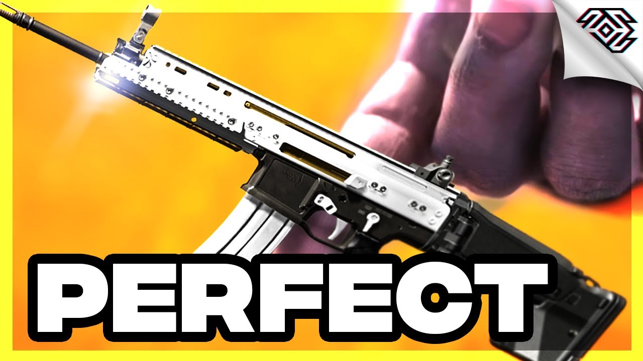 The One Gun in Warzone, That's Perfectly Balanced