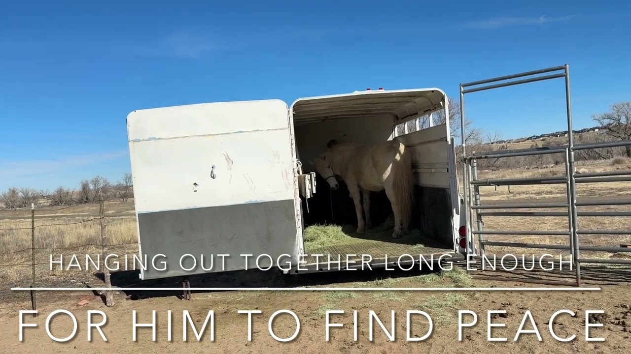 Katie & Mystic First Trailer Loading