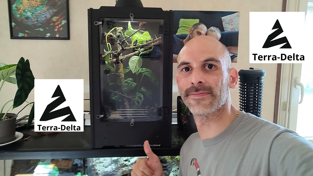 TERRARIUM DELTA IL SONT TOP  gecko a crête 