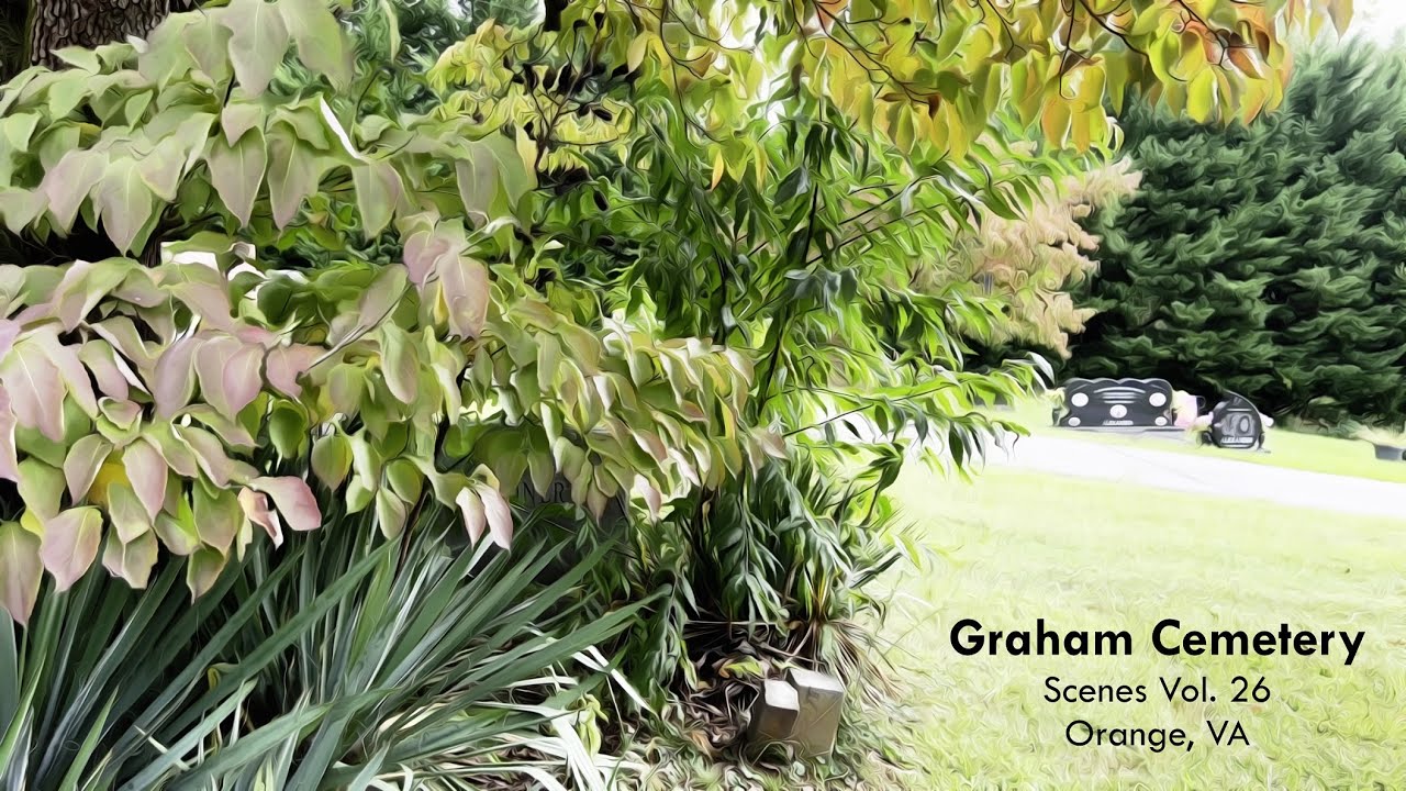 Graham Cemetery - Scenes Vol. 26 - Orange, VA