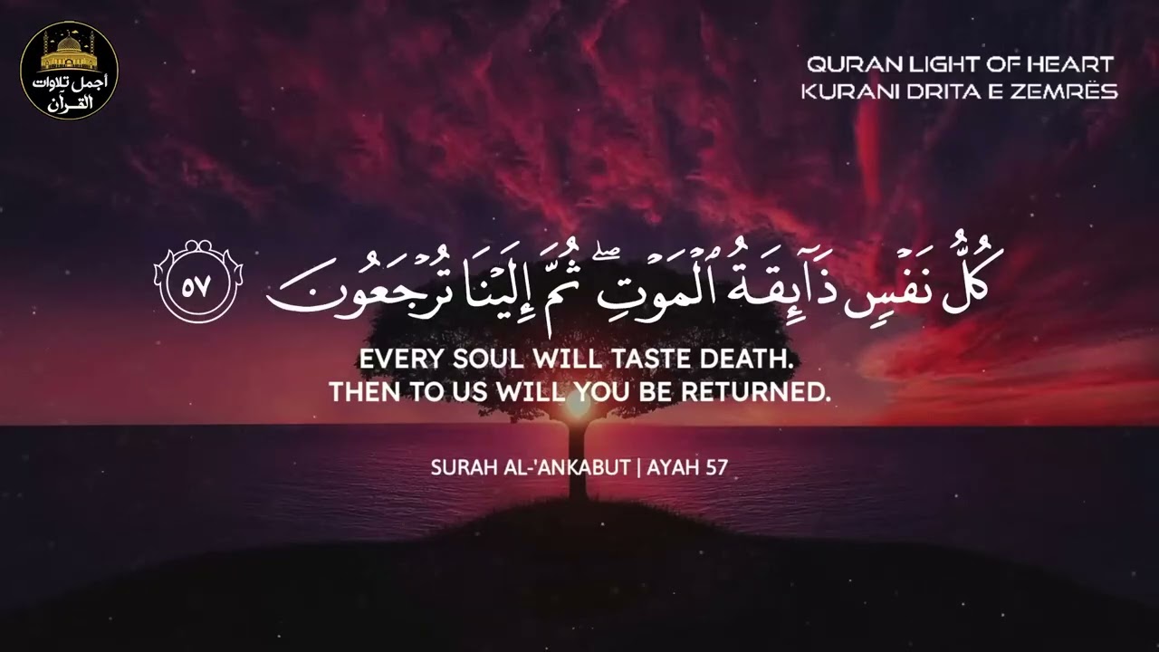 ساعة كاملة🕛تلاوة قرأنية خاشعة😌تقشعر لها الأبدان🥺راحة للقلب❤️بصوت❤️عبد الرحمن مسعد