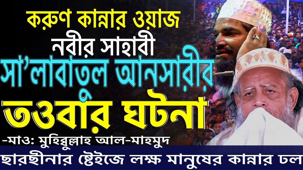 আজিব কন্ঠে সালাবাতুল আনসারী ও যুবতী মেয়ের ঘটনা। তওবার ওয়াজ। Muhibbullah Al Mahmud
