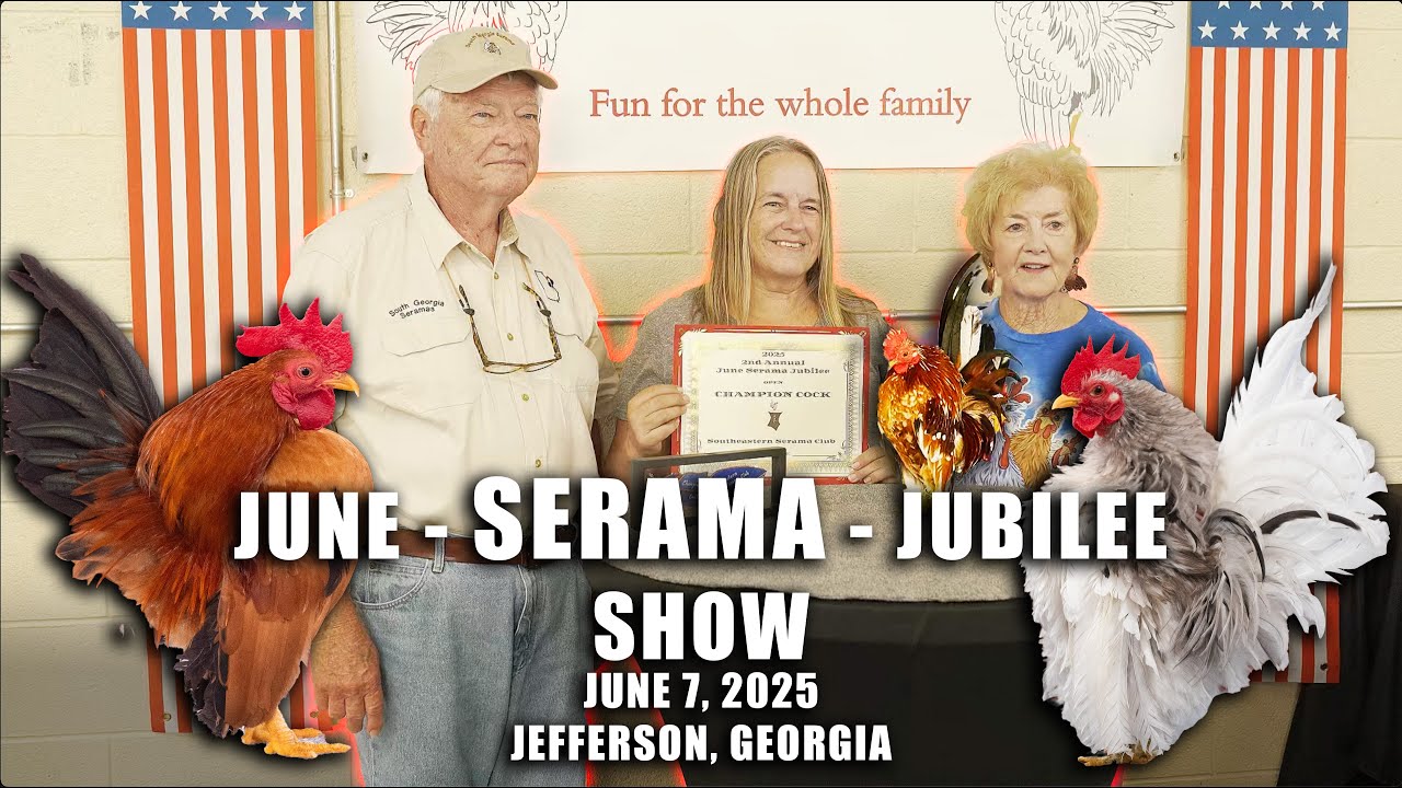 June - SERAMA - Jubilee Chicken Show June 7th 2025