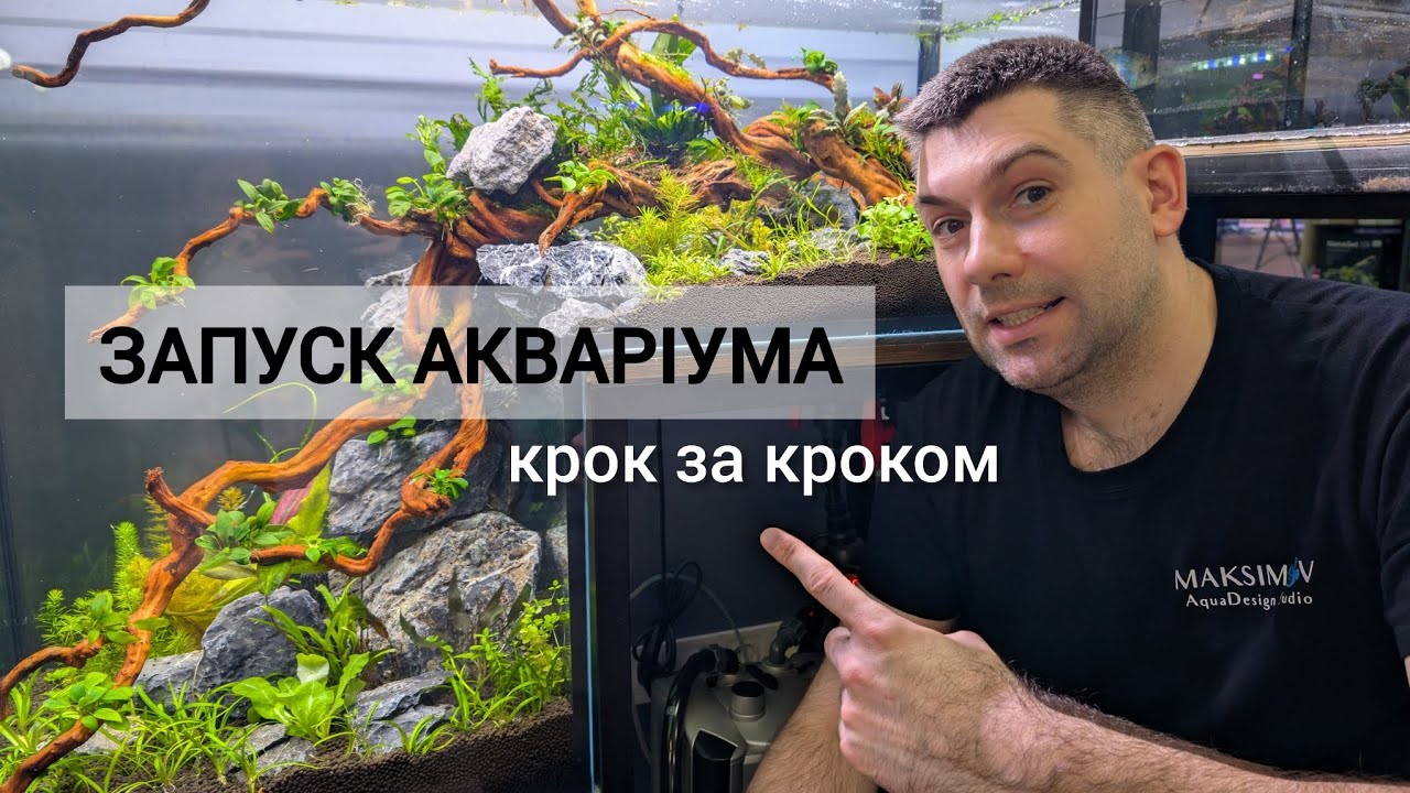 Запуск та оформлення акваріума - крок за кроком