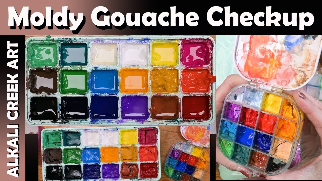 Is the Gouache Still Moldy?  What kind of maintenance do we need to do?
