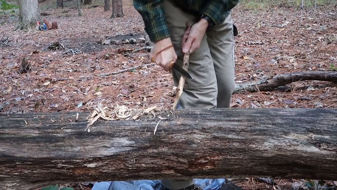 Oak Mountain Backcountry Camping Site #2
