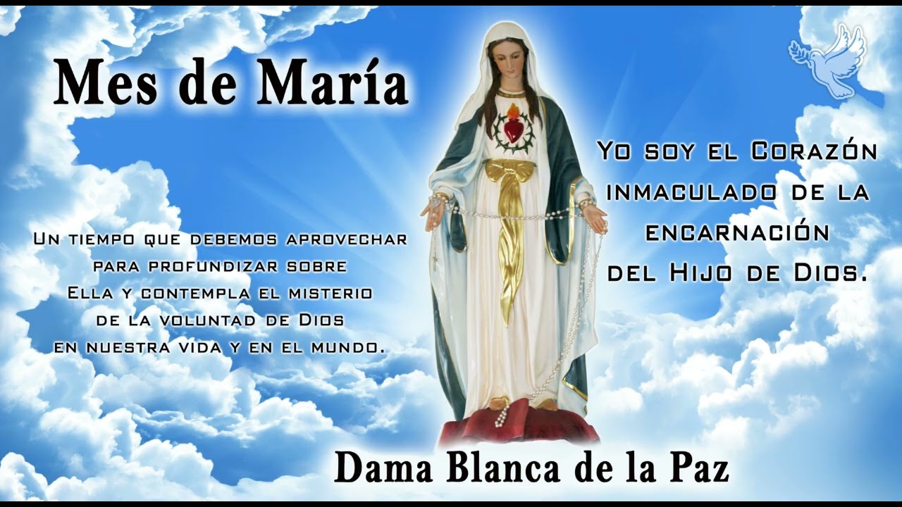 Mes de Mar&iacute;a 10/11/2025