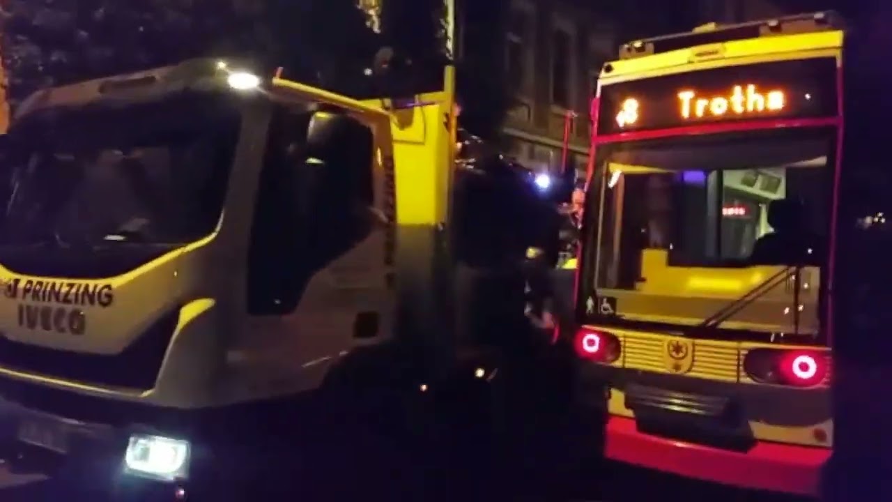Klabusterbären: 