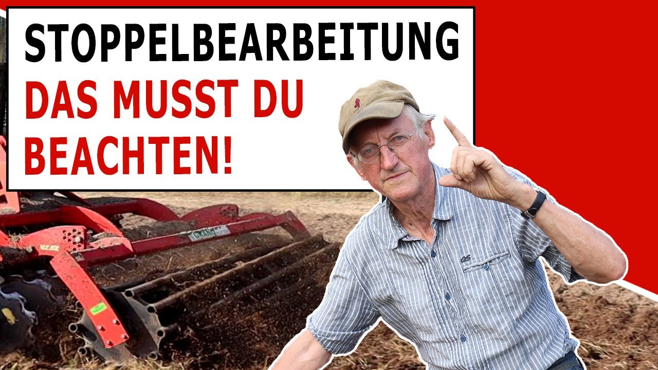 Richtige Stoppelbearbeitung gegen Unkraut auf dem Bio Acker!