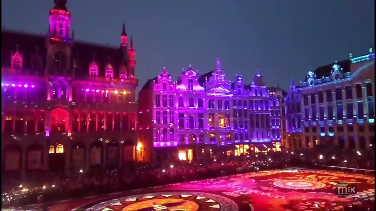 Alfombra Floral de Guanajuato México | Bélgica 2018