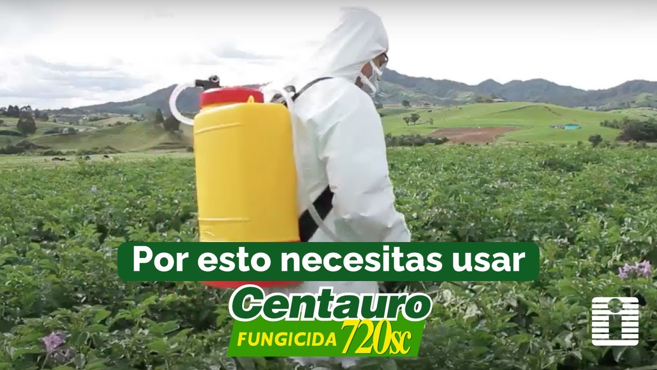 🌱 AGROINVESA | CENTAURO 720SC: FUNGICIDA DE AMPLIO ESPECTRO 🌿