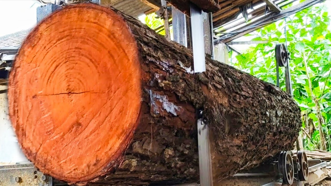 From beautiful large logs, they are transformed into precision pieces using a traditional saw. 