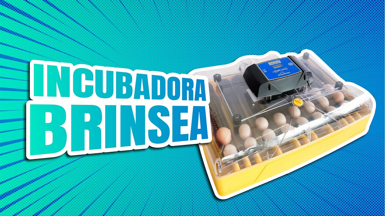 INCUBADORA BRINSEA CAPACIDAD 56 HUEVOS - FUNCIONAMIENTO Y RECOMENDACIONES PARA MEJORAR LA PRODUCCIÓN