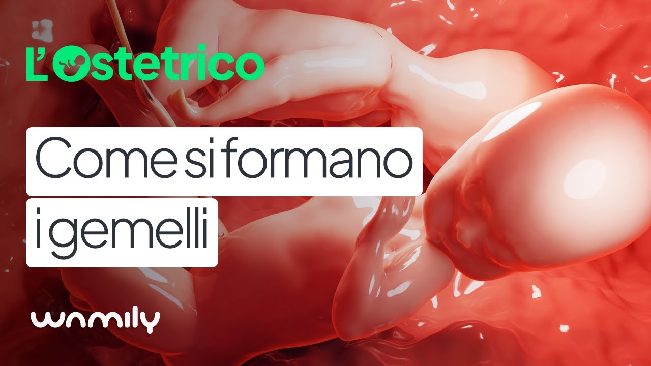 Come si formano i gemelli e qual è la differenza tra omozigoti ed eterozigoti