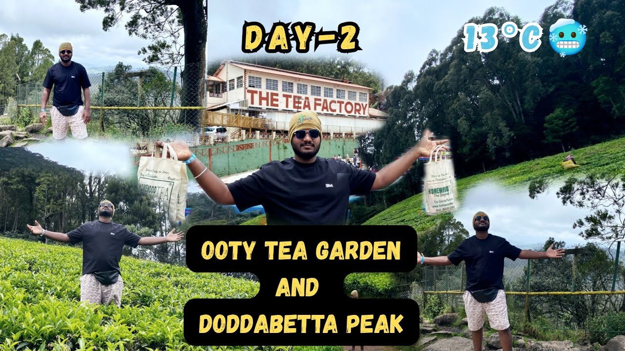 Live Tea Factory and Chocolate Factory in Ooty | Doddabetta Peak 😍| Tea Garden explore in Ooty☕🎍