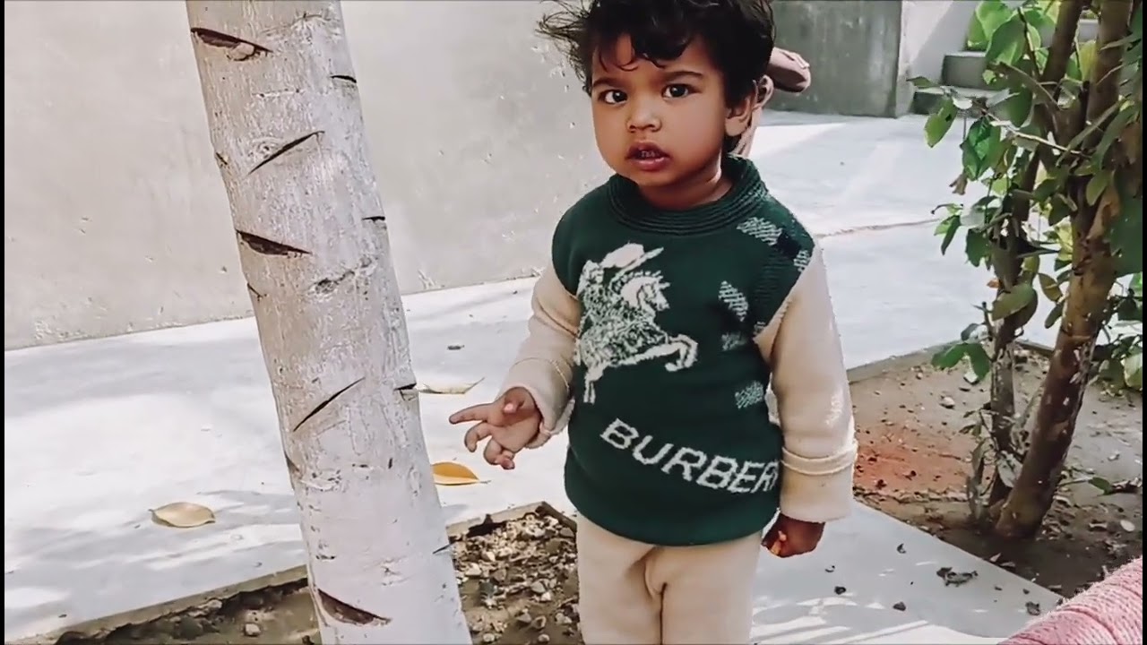 Day12vlog # varlviedo#varlreel#ekmotahathighumechala 