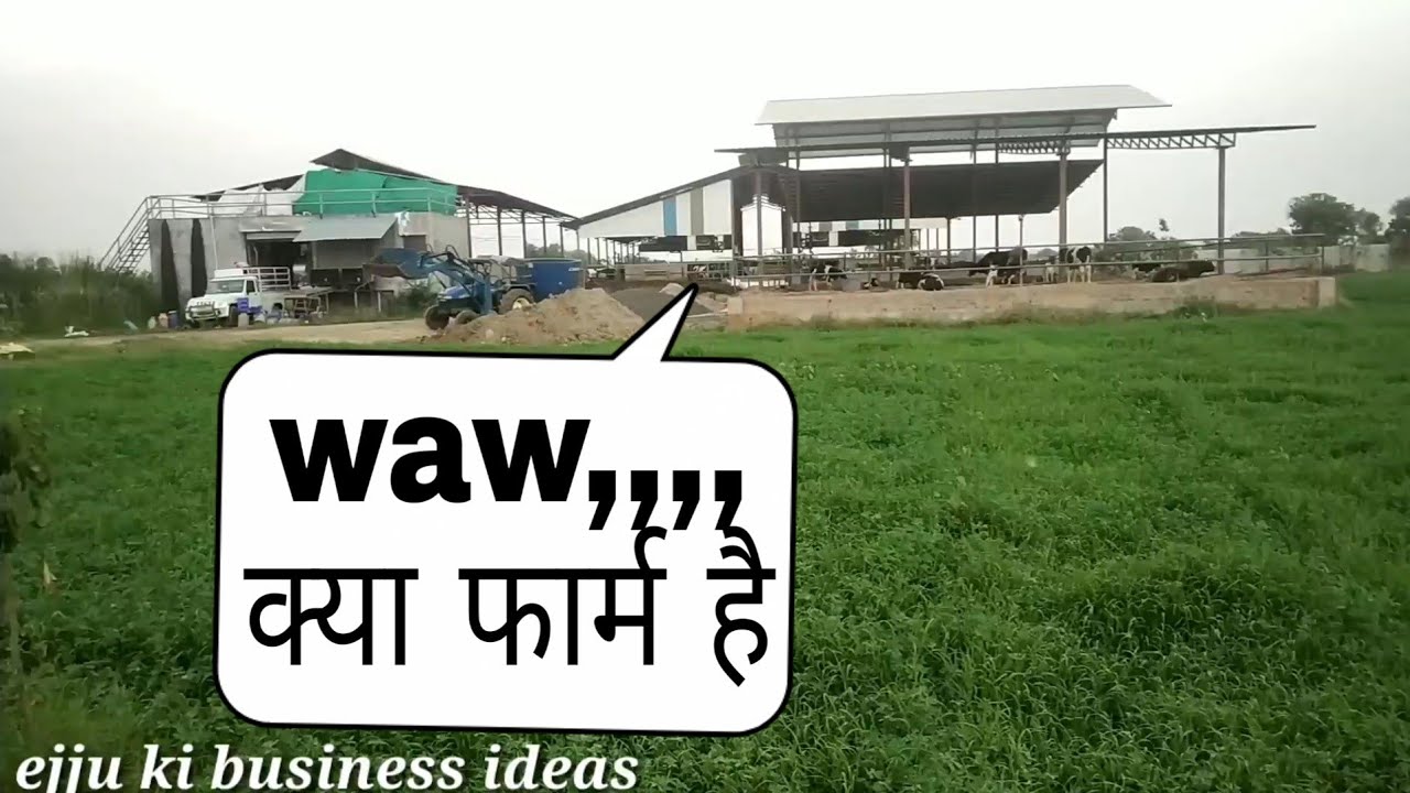 Natural Dairy Farm vadodara Gujrat