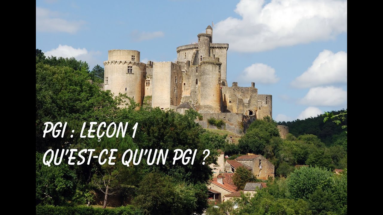 PGI 1 Qu'est ce qu'un PGI