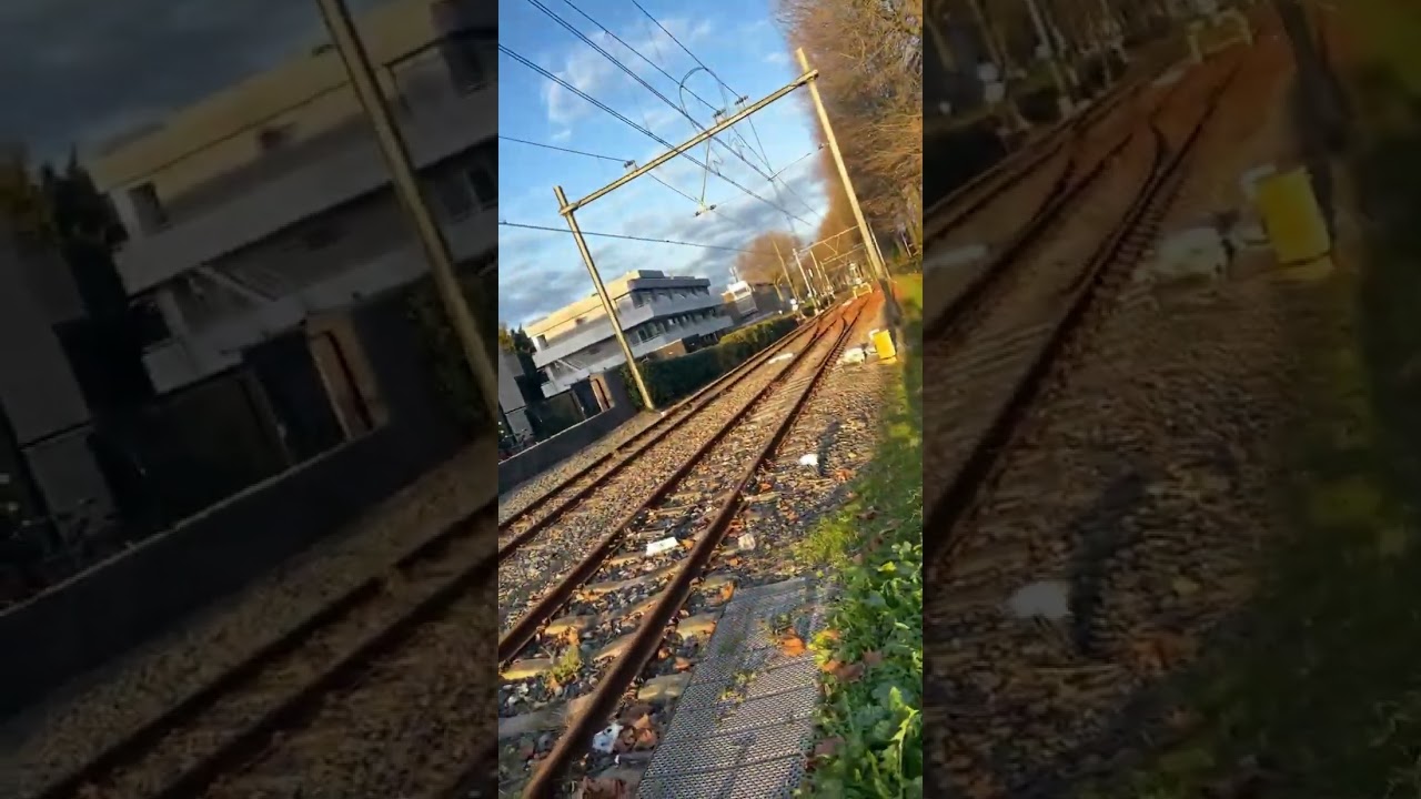 Good evening Netherlands 🇳🇱#shorts #shortvideo #viral #dutchgirl #netherlandvlog