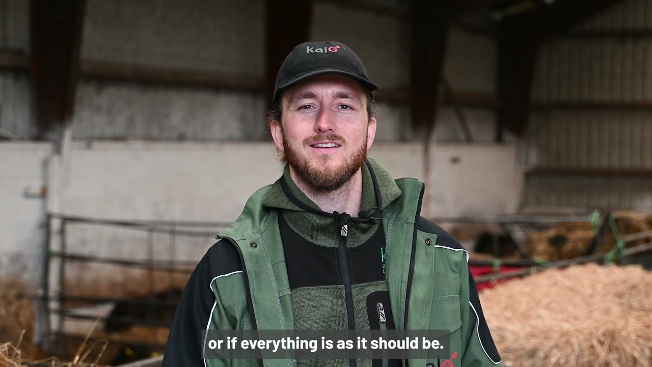 Livestock lessons at Kalø Økologisk Landbrugsskole
