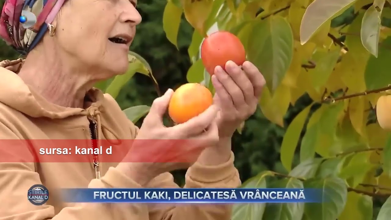 Știrile Kanal D:Fructul Zeilor s-a adaptat perfect capriciilor vremii din Vrancea&rdquo;