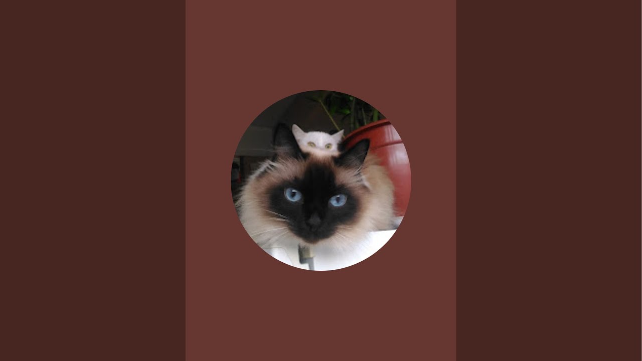 Отправка торпедо ВАЗ 2102 в музей.  Третья серия. ￼￼