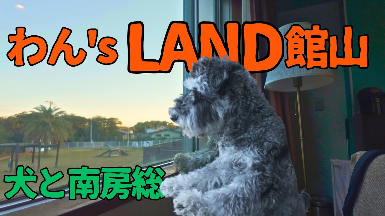 【犬と千葉旅①】犬と南房総/わん’ｓＬＡＮＤ館山に宿泊/亀山湖/勝浦海中公園