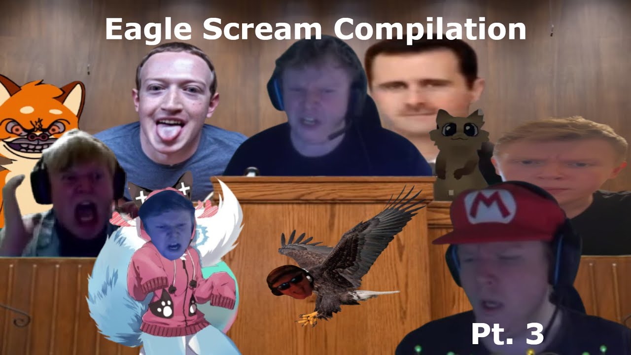 Bill Jensen Eagle Screech Compilation v3