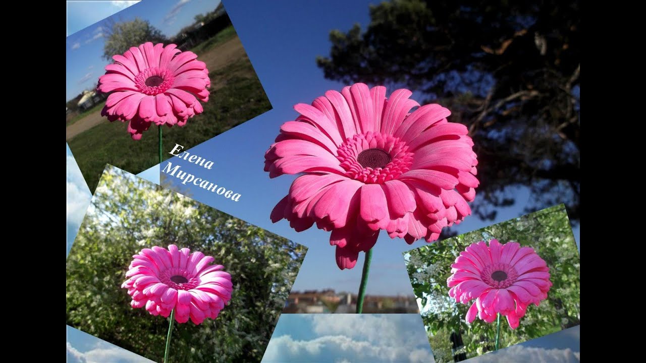Гербера из фоамирана