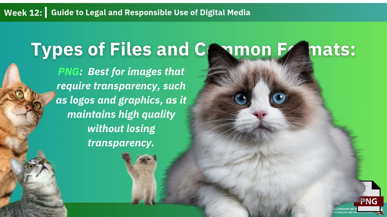 Week  12   Guide to Legal and Responsible Use of Digital Media