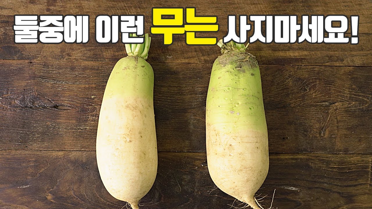 제발 마트에서 바람든 무 사지마세요! 고르는법, 보관법, 효능, 김장무 추천