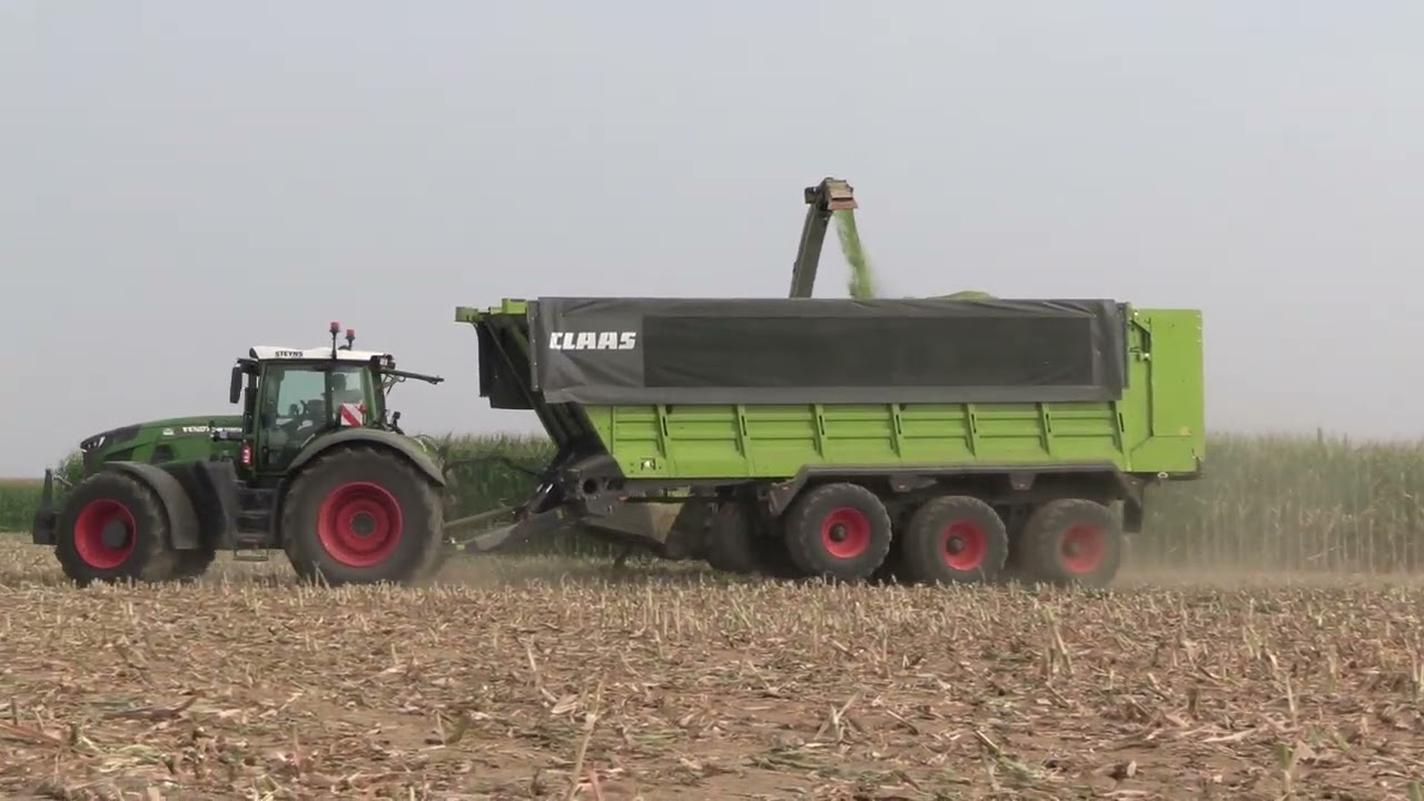 LU STEYNS MAIS 2022 Jaguar 980, Fendt 942, Axion 960 TT / corn harvest 2022