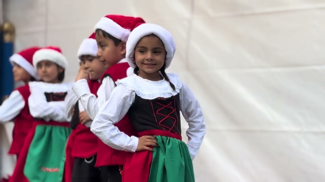 Festival 2 diciembre 2025 