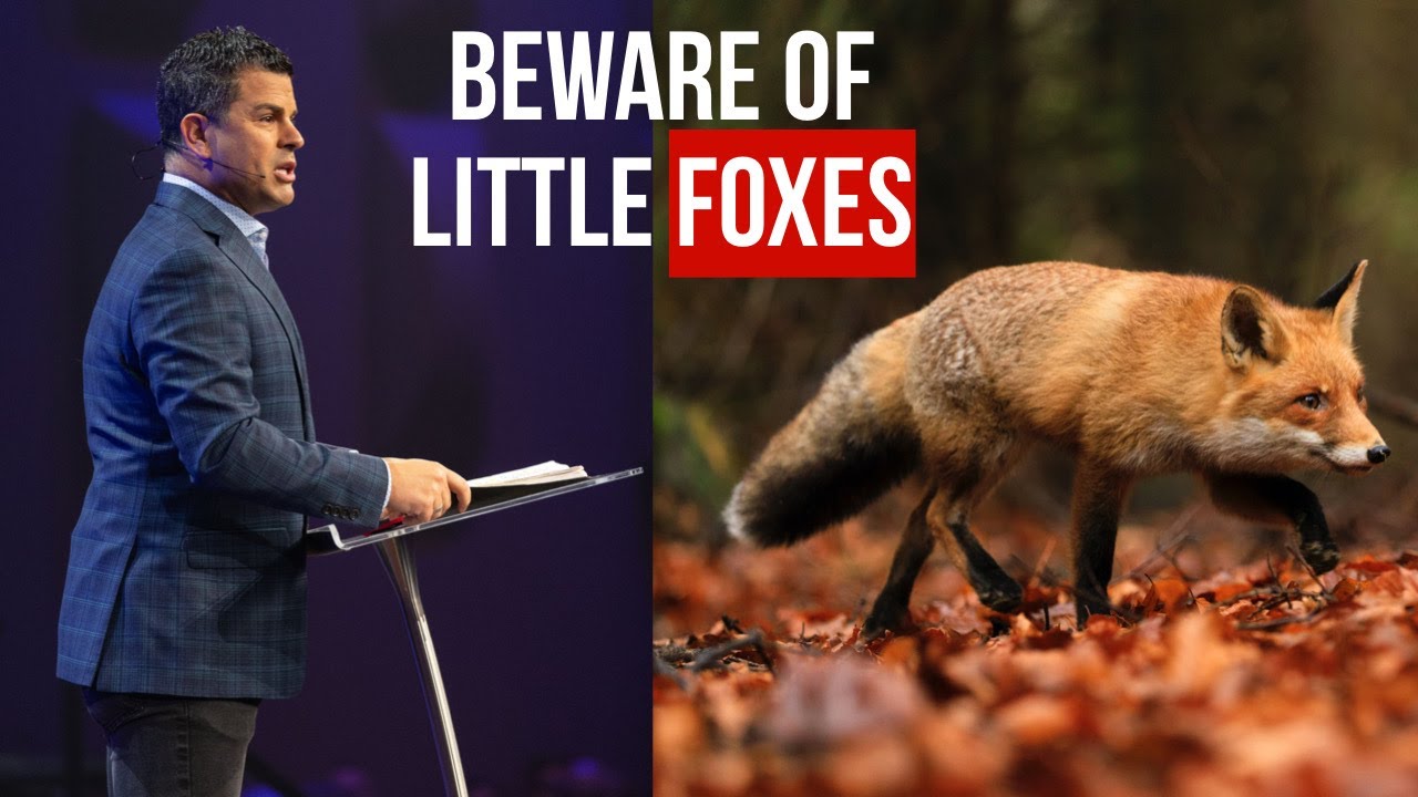 Beware of the Little Foxes 🦊 Lurking in Your Vineyard! 🦊